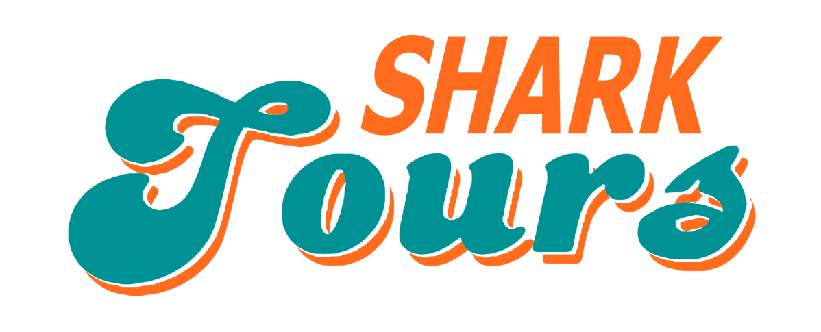 Shark Tours FL